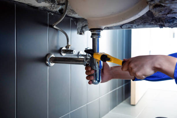 Best Garbage Disposal Repair and Installation  in Ilco, WA